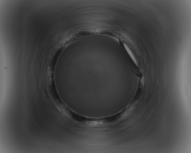 X0000086300366200704131614