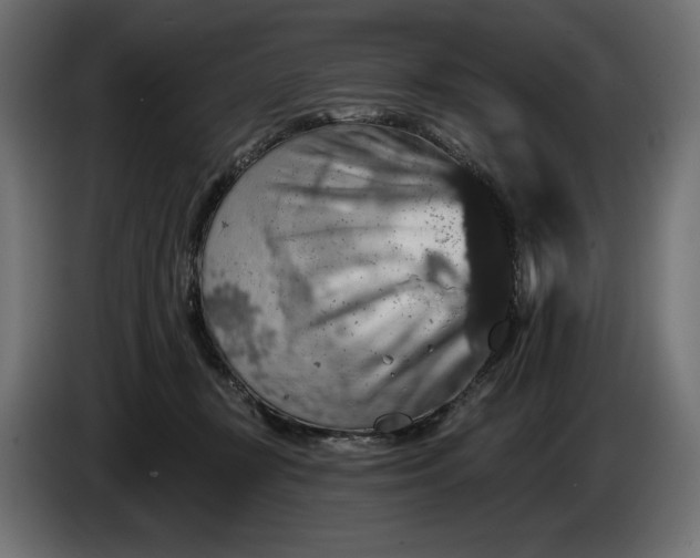 X0000086300367200704131614