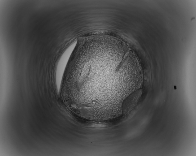 X0000086300369200704131614