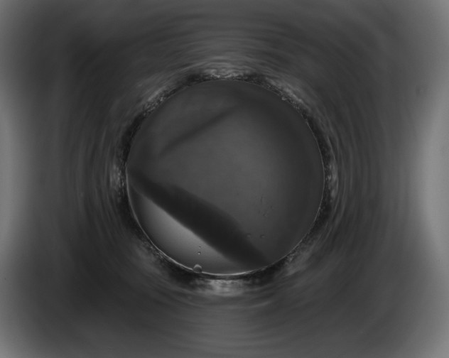 X0000086300371200704131614