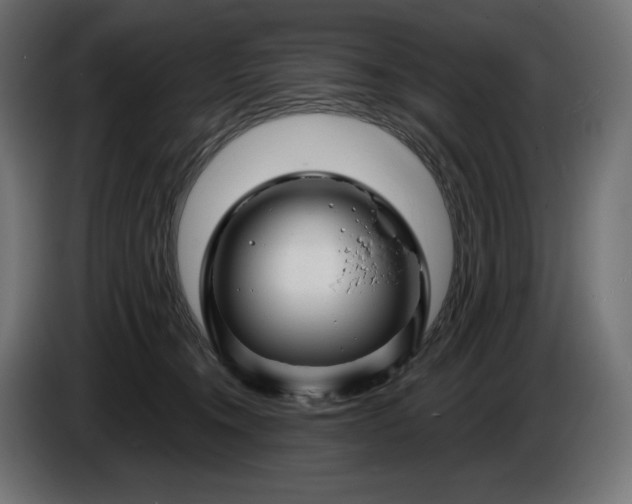 X0000086300372200704131615