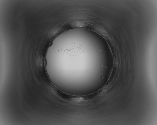 X0000086300374200704131615