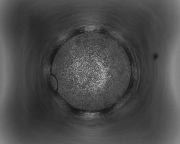 X0000086300375200704131615