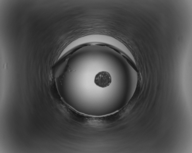 X0000086300380200704131615