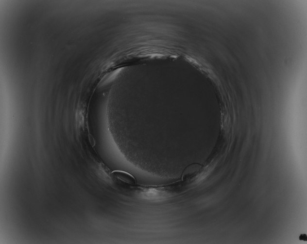 X0000086300382200704131615