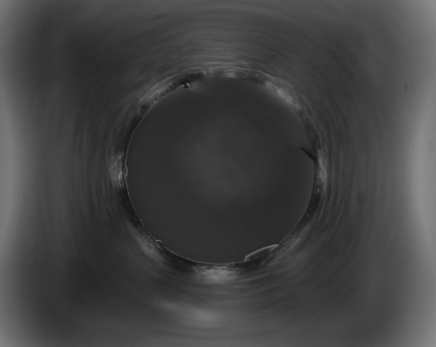 X0000086300383200704131615