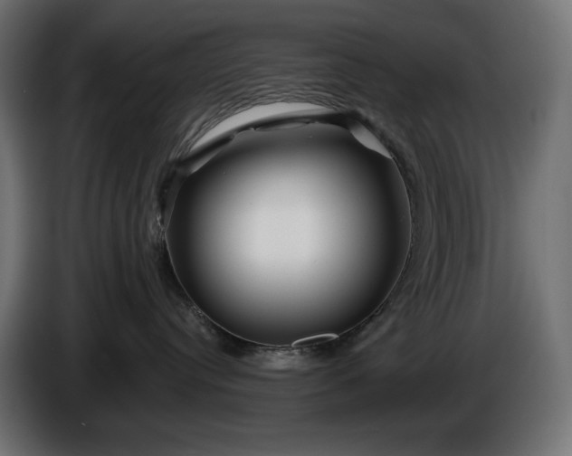 X0000086300384200704131615