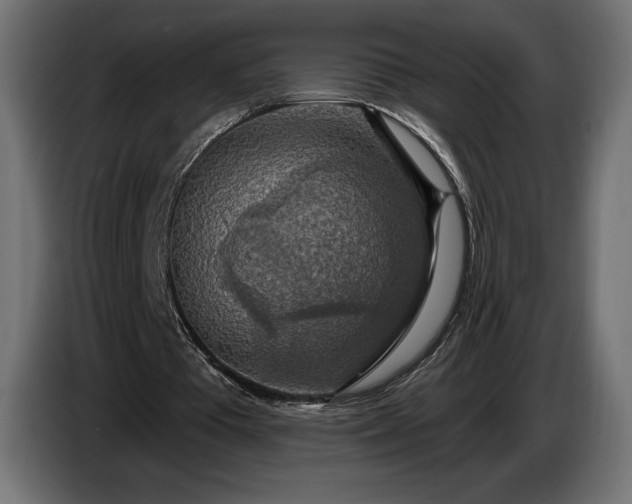 X0000086300385200704131614