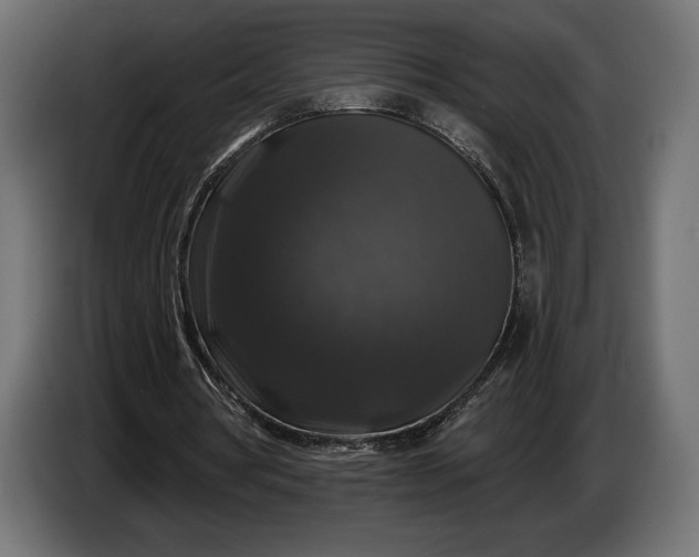 X0000086300386200704131614