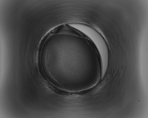 X0000086300387200704131614