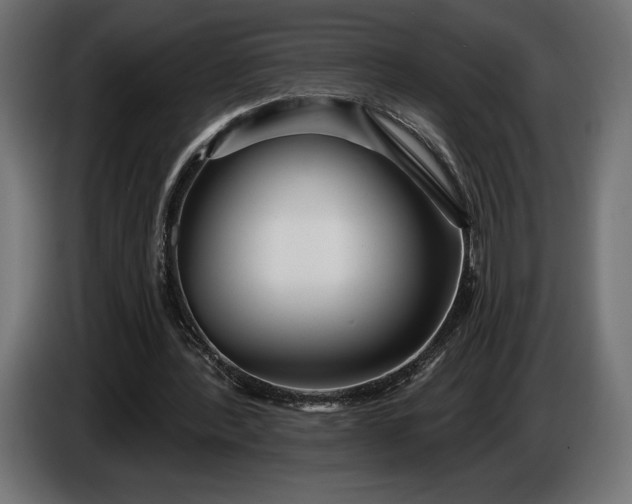 X0000086300388200704131614