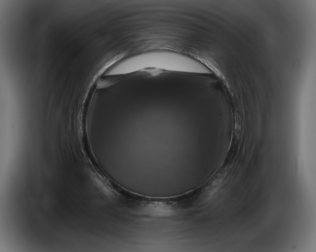 X0000086300390200704131614