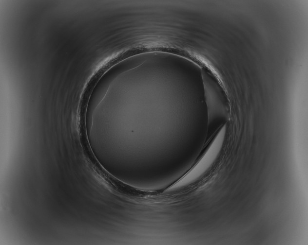 X0000086300391200704131614