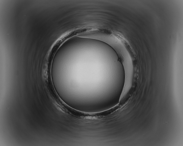 X0000086300392200704131614