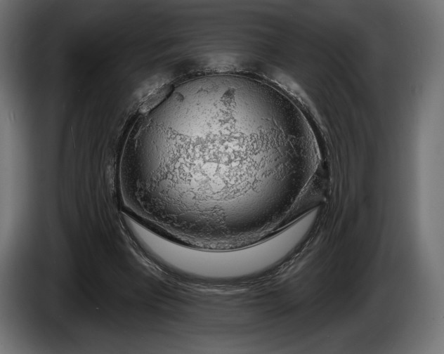 X0000086300393200704131614