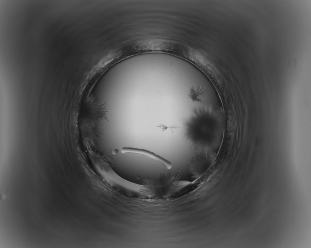 X0000086300394200704131614