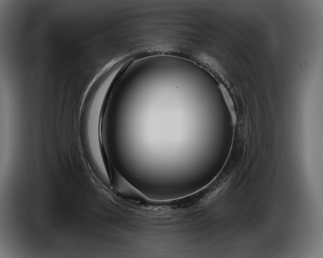 X0000086300395200704131614