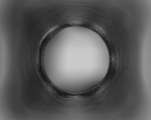 X0000086300396200704131614