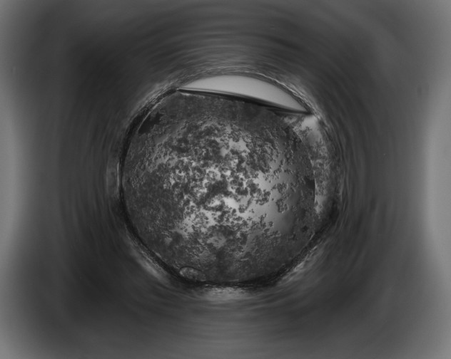 X0000086300397200704131614