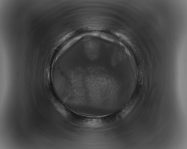 X0000086300398200704131614