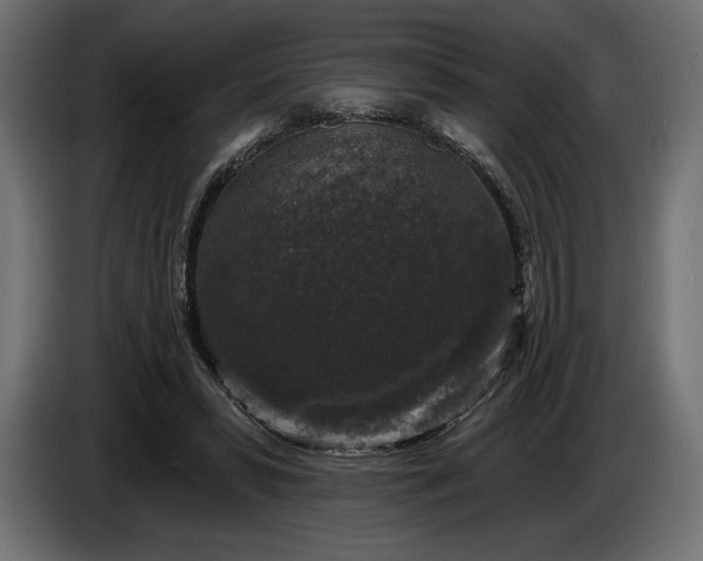 X0000086300399200704131614