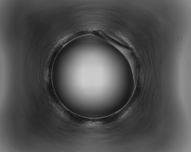 X0000086300403200704131614