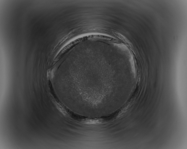 X0000086300405200704131614