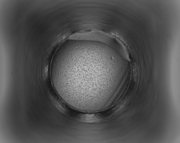 X0000086300406200704131614