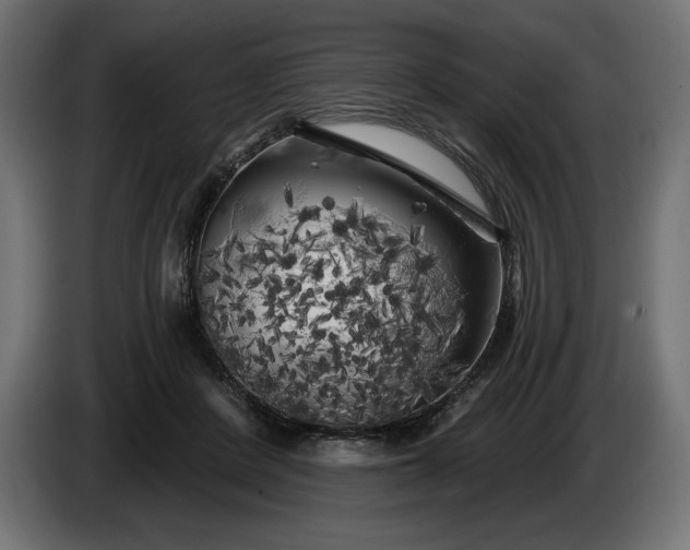 X0000086300408200704131614