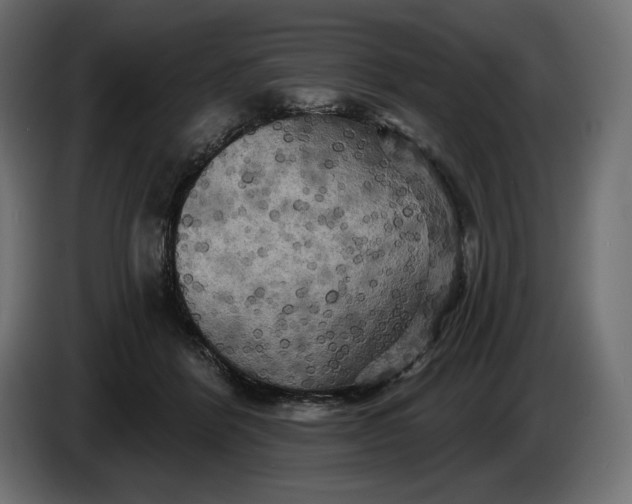 X0000086300412200704131614