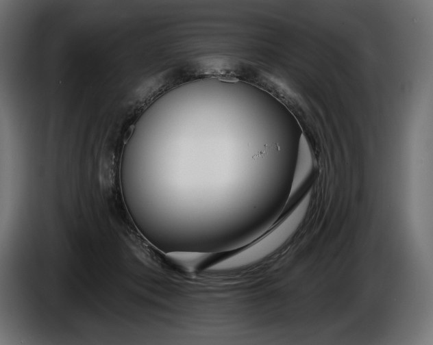 X0000086300413200704131614