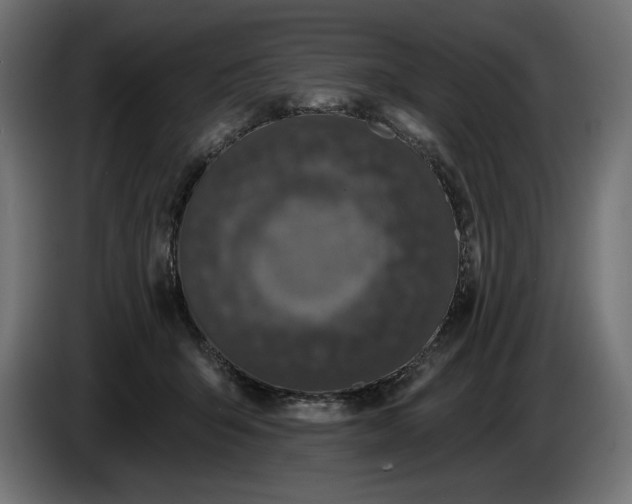 X0000086300415200704131614