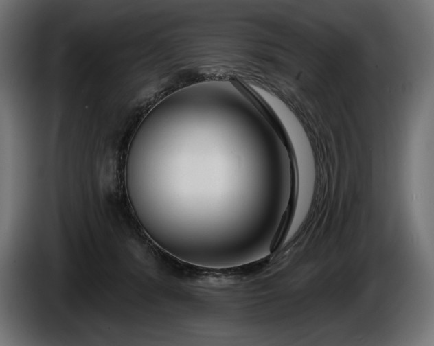 X0000086300416200704131614