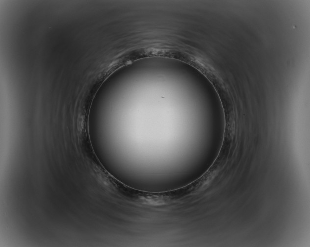 X0000086300417200704131614