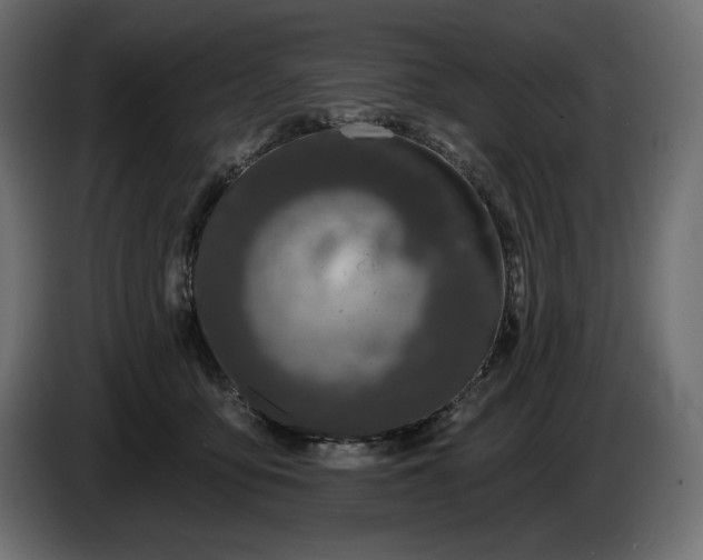 X0000086300419200704131614