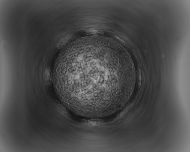 X0000086300420200704131614