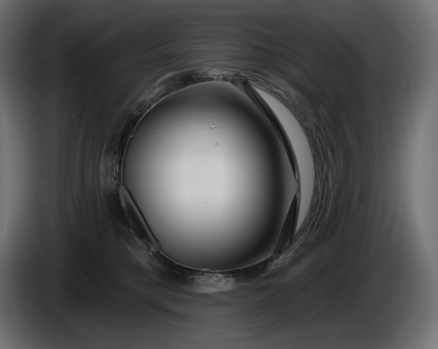 X0000086300421200704131613