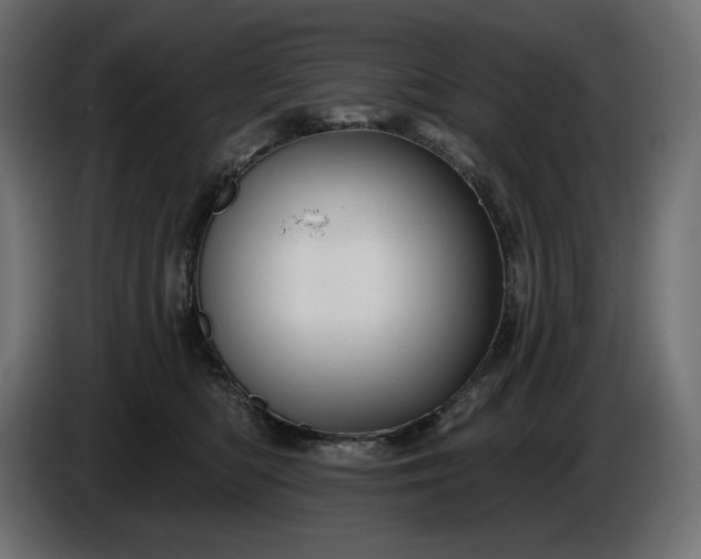 X0000086300422200704131613