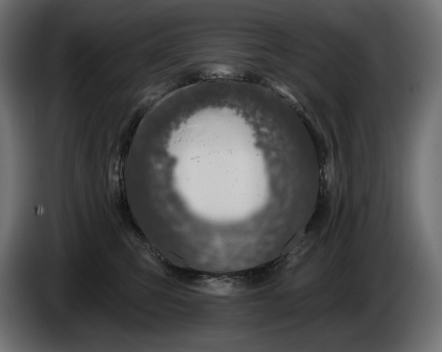 X0000086300423200704131613