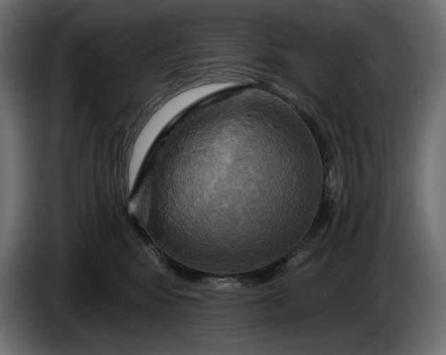 X0000086300424200704131613