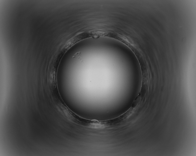 X0000086300425200704131613