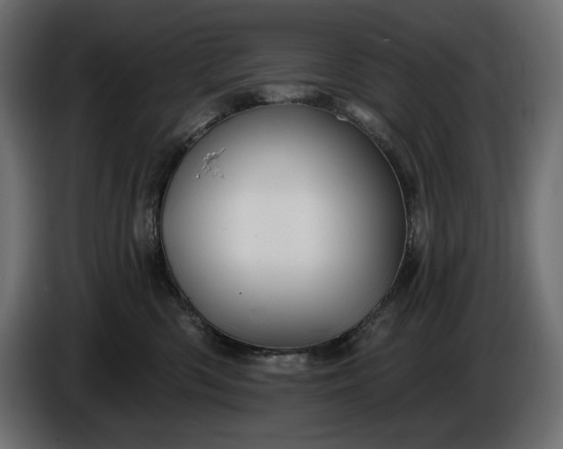 X0000086300426200704131613