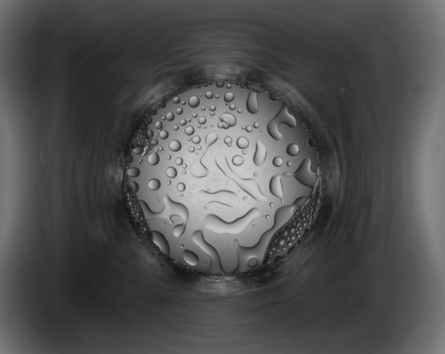 X0000086300427200704131613