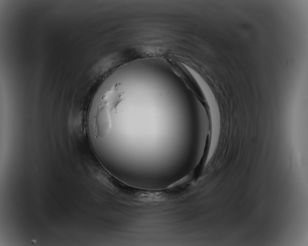 X0000086300428200704131613