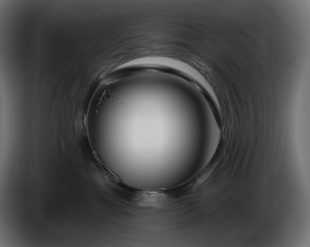 X0000086300429200704131613