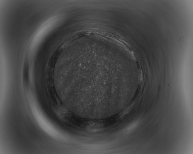 X0000086300431200704131613