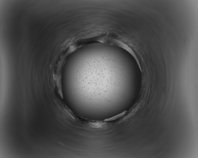 X0000086300432200704131613