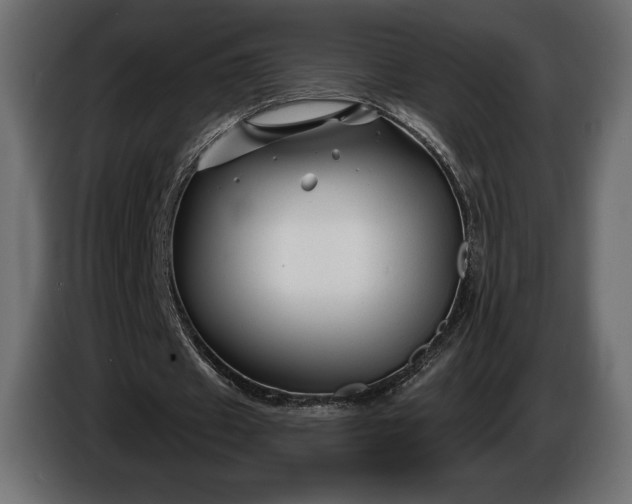 X0000086300433200704131613