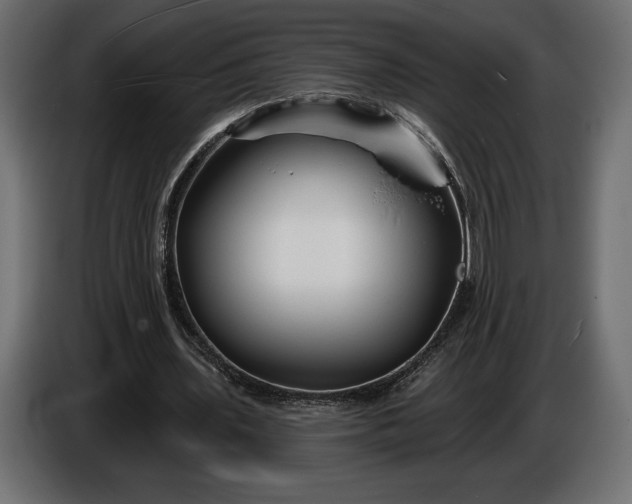 X0000086300435200704131613