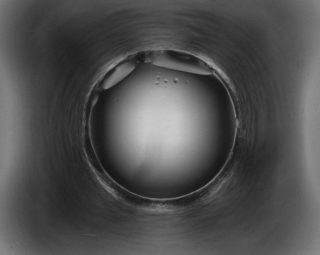 X0000086300437200704131613